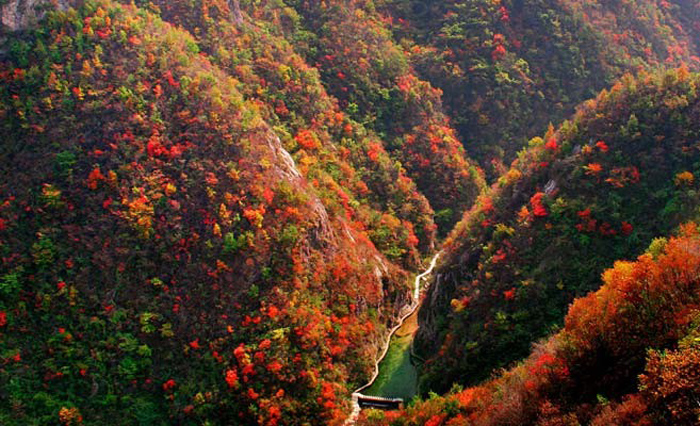 养子沟休闲养生基地